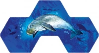 7. Aqua (edycja polska)